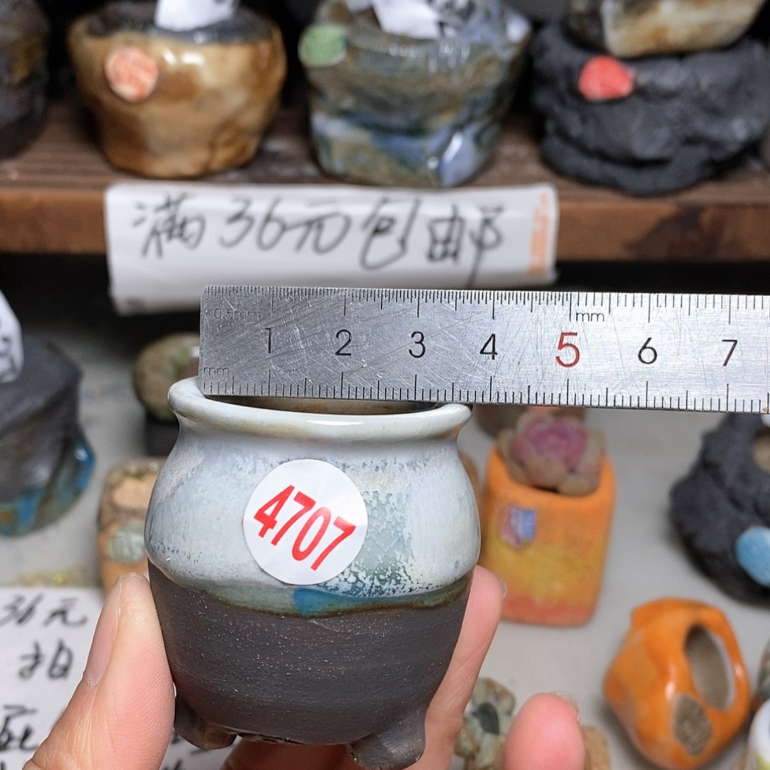 红陶拍5送一个小