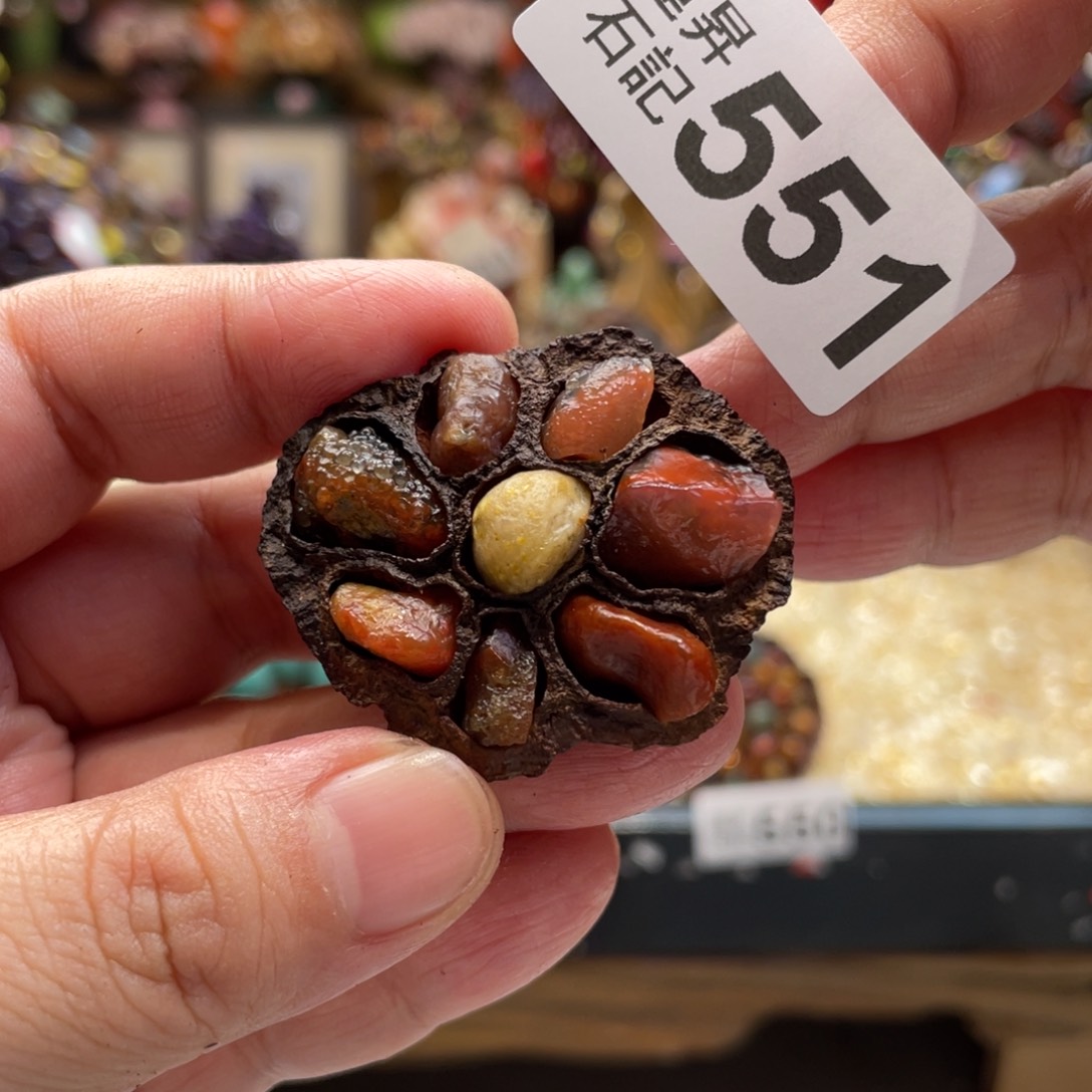 核桃木/黑胡桃（胡桃木）551