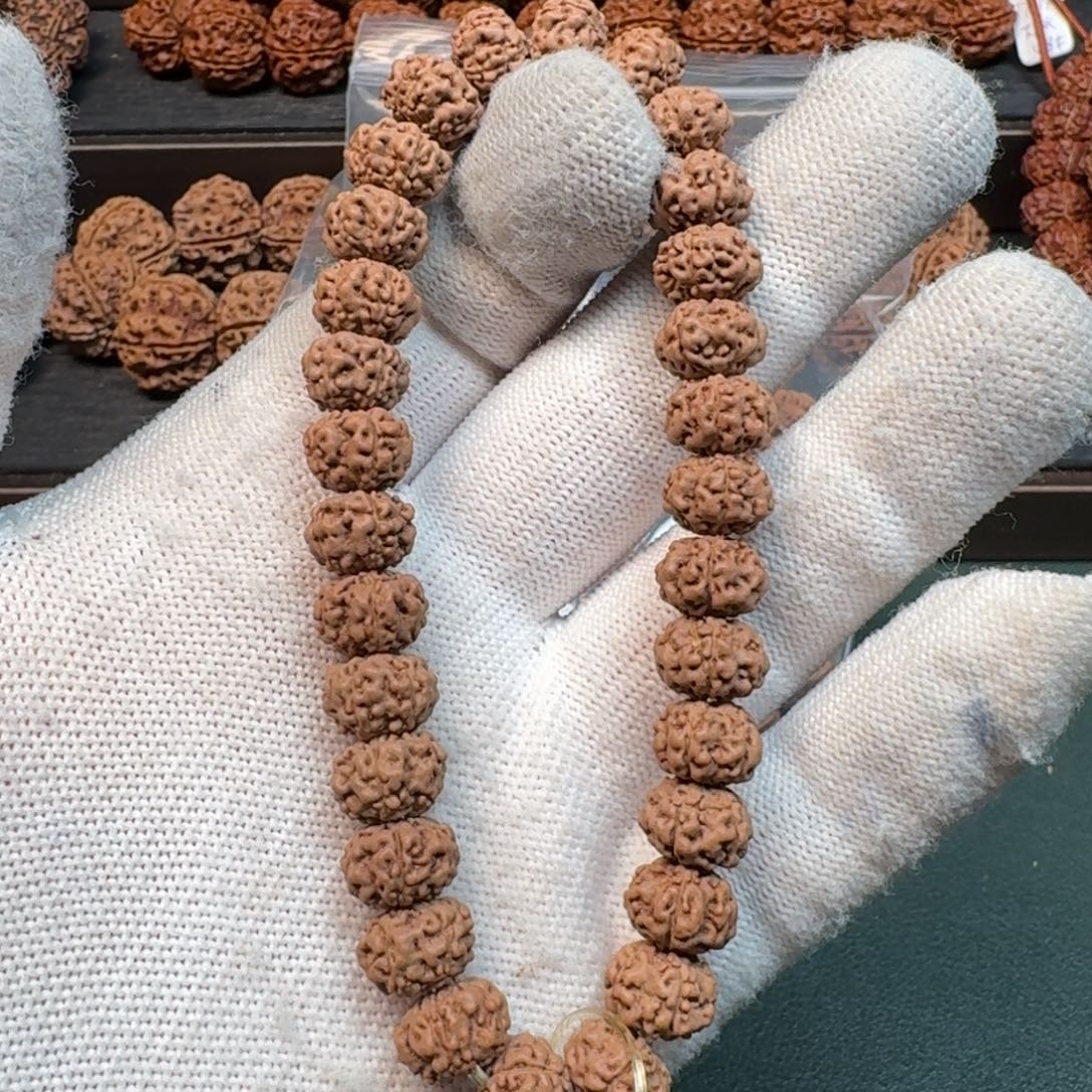 金刚菩提手串10小金刚树祖单圈