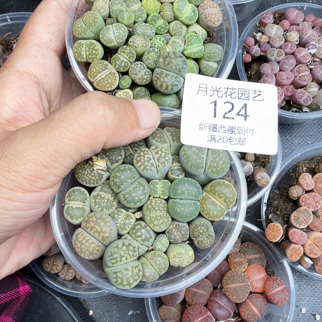 蓝***3好看我真的不配124