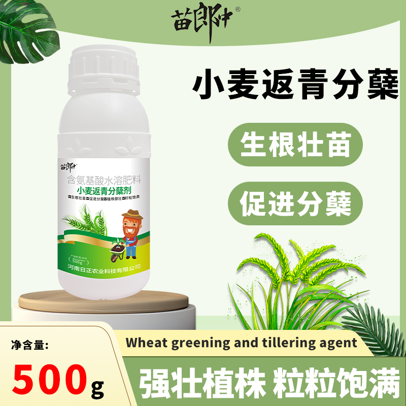 小麦宝宝增产叶面肥高产促进分蘖加速灌浆抗倒伏穗大粒饱籽粒饱满