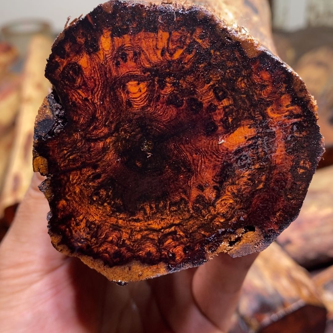 西***柿有机玻璃在线函数等方面