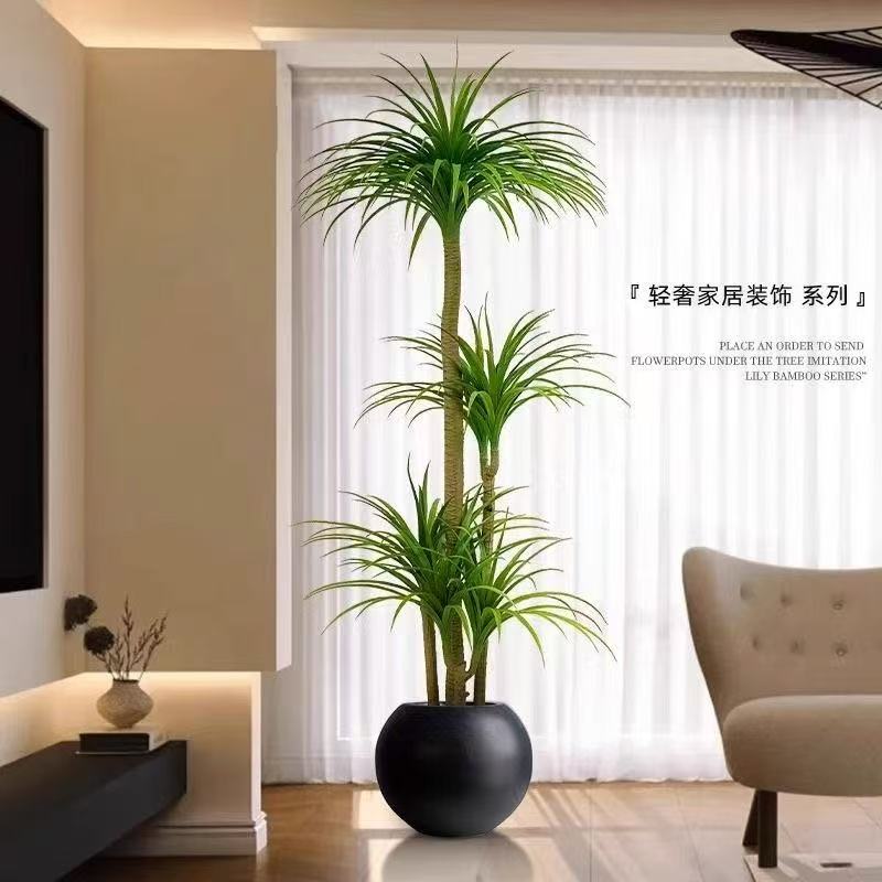 客厅大型绿植龙血树盆栽塑料花盆办公室内外双层