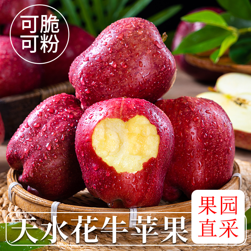 甘肃天水花牛苹果当季新鲜水果脆粉两吃红蛇果老人宝宝辅食果园