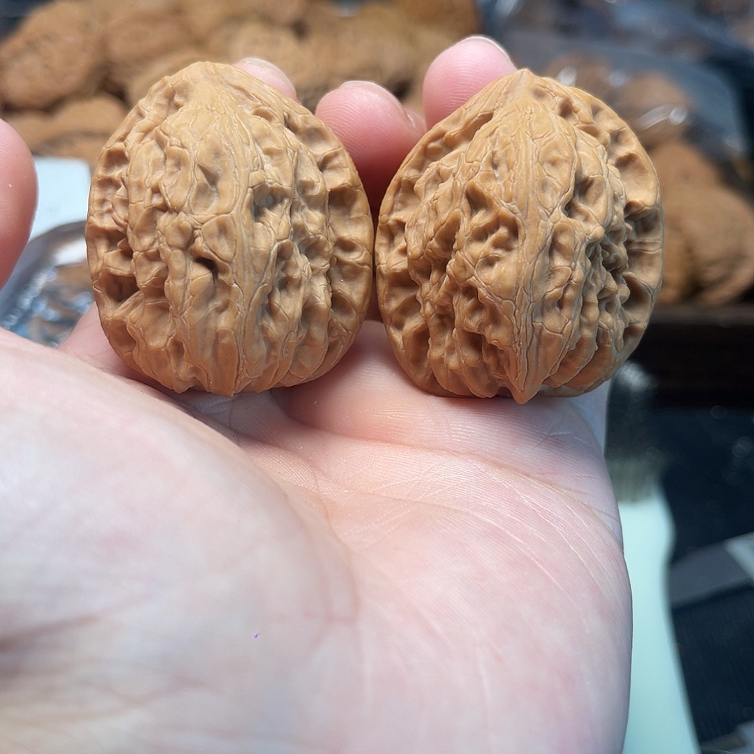 1文玩核桃鼋甲纹38-137