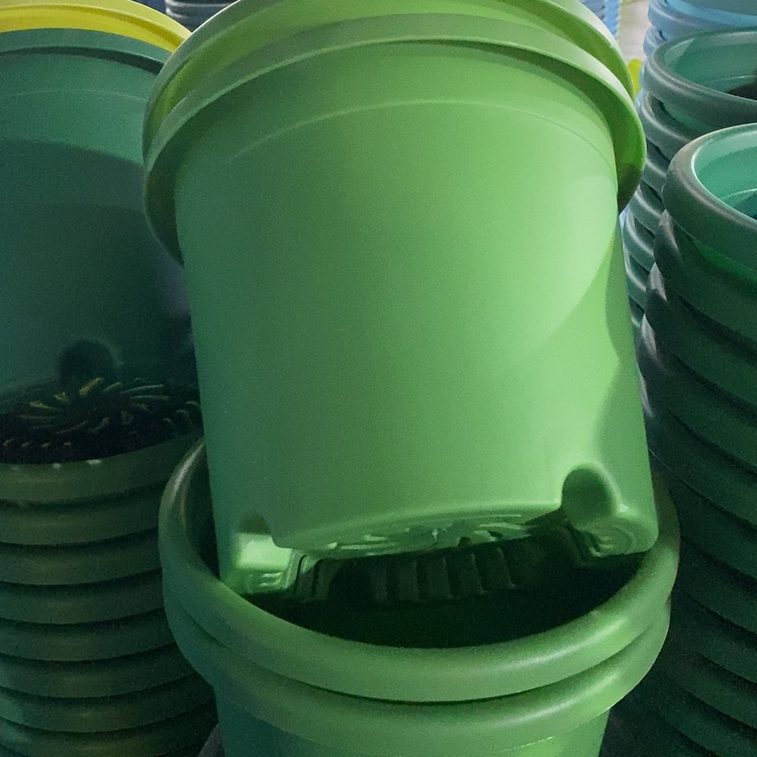 特价3#无拖草绿10