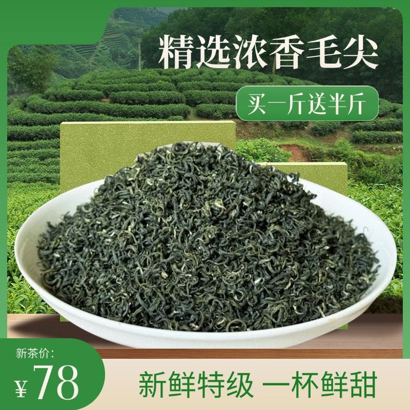 【2025】阳坝毛尖浓香清炒绿茶