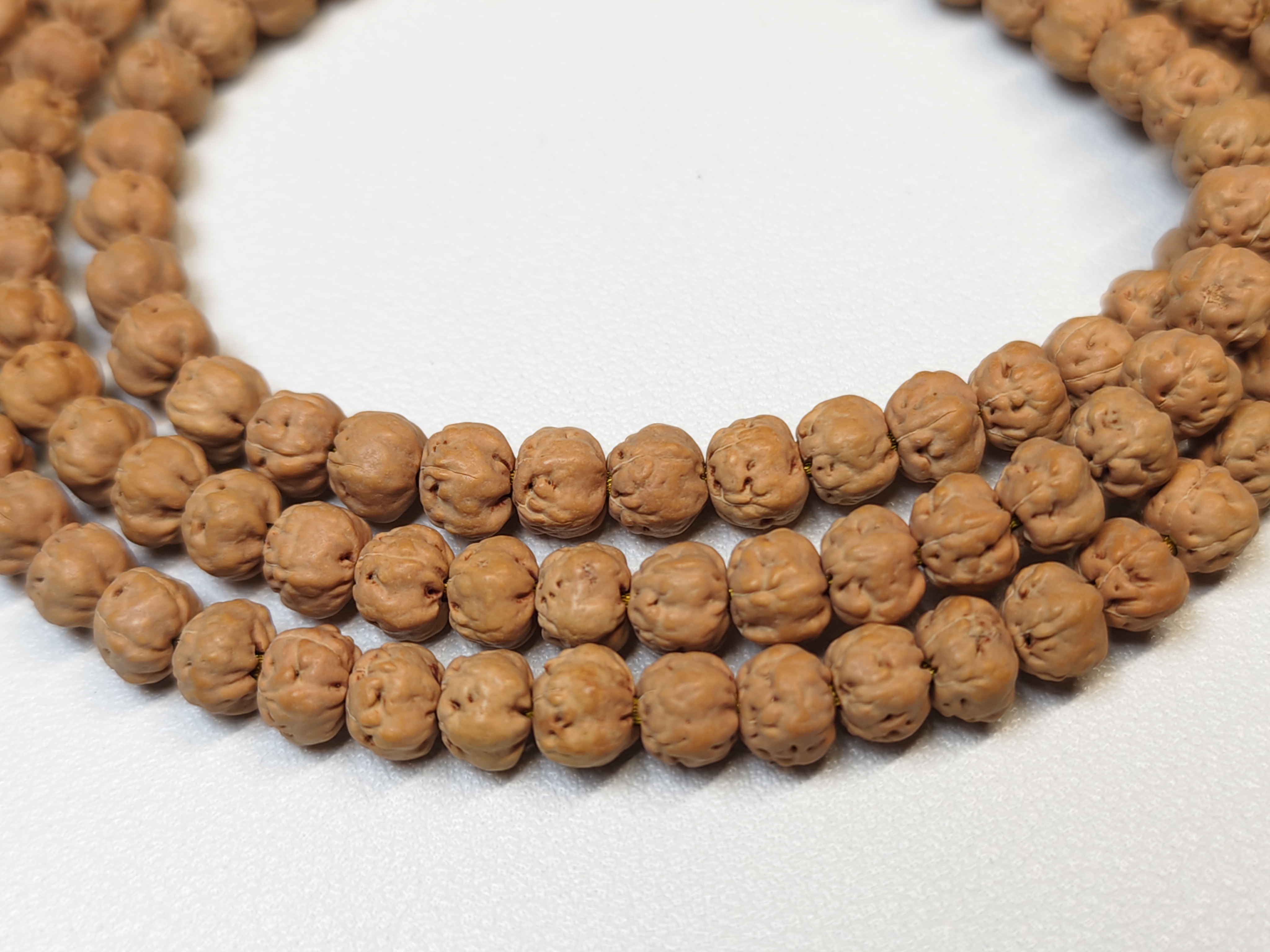 菩提手串 佛手小金刚原桩五爪金龙