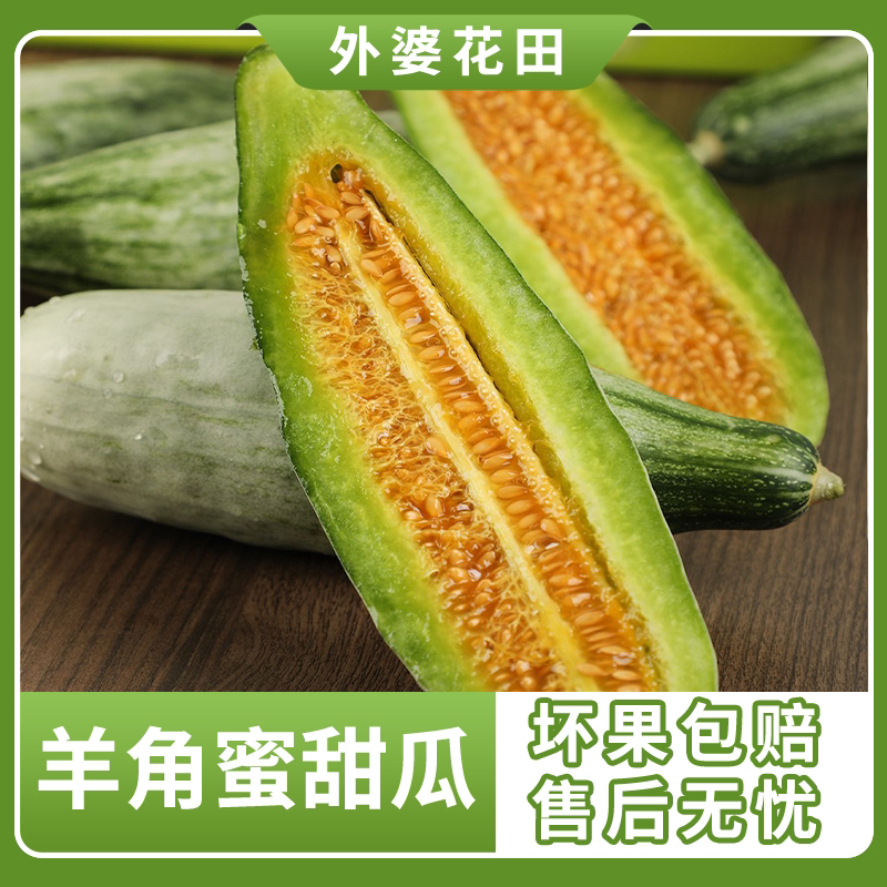 山东羊角蜜甜瓜4.5斤装4-7根左右
