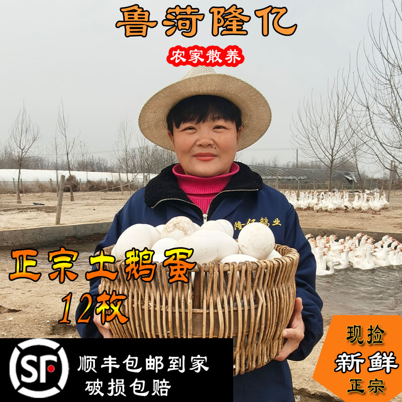 【大号真鹅蛋】12枚鹅蛋保真礼盒装新鲜现捡现发新鲜破碎包赔孕妇