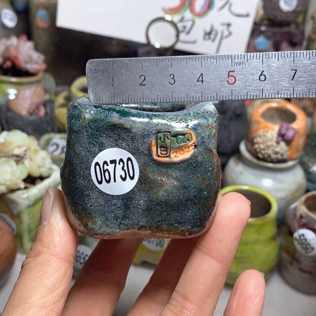 花盆拍3送一个小礼物