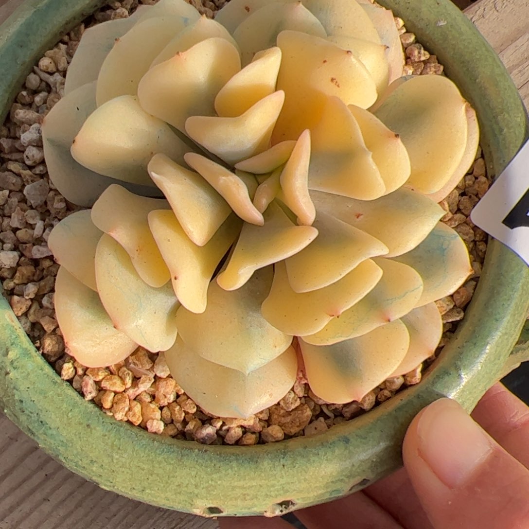 671 满38包邮一物一拍