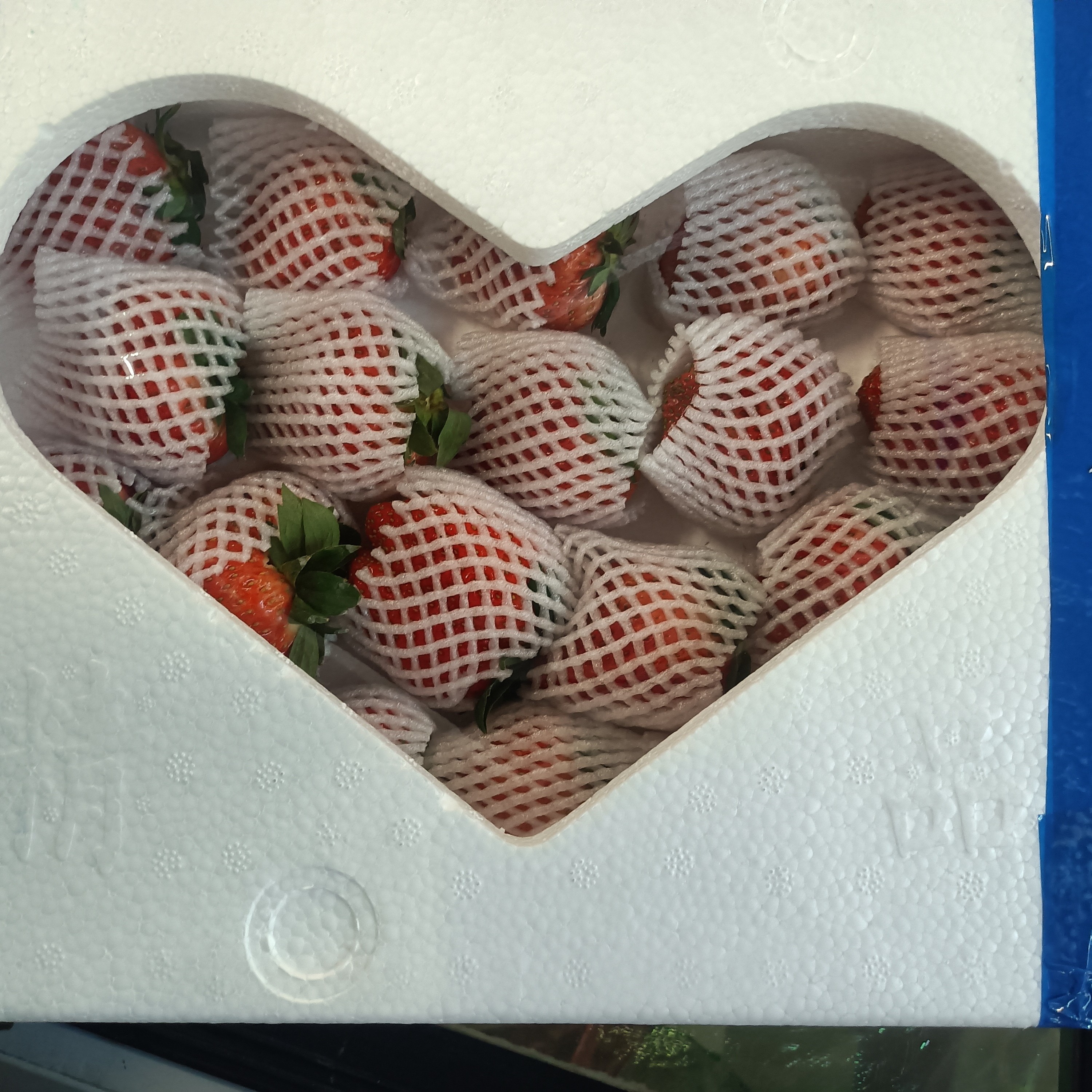 超大个老马岗奇形果