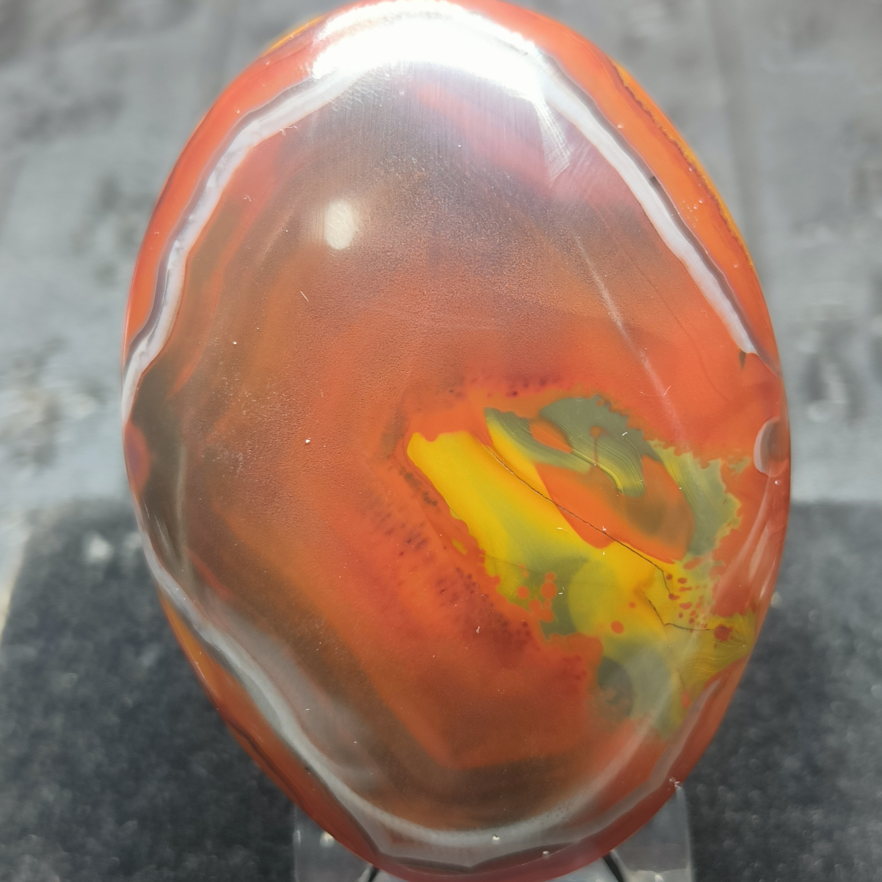 战国红玛瑙金蟾6.1*4.5*2.0cm