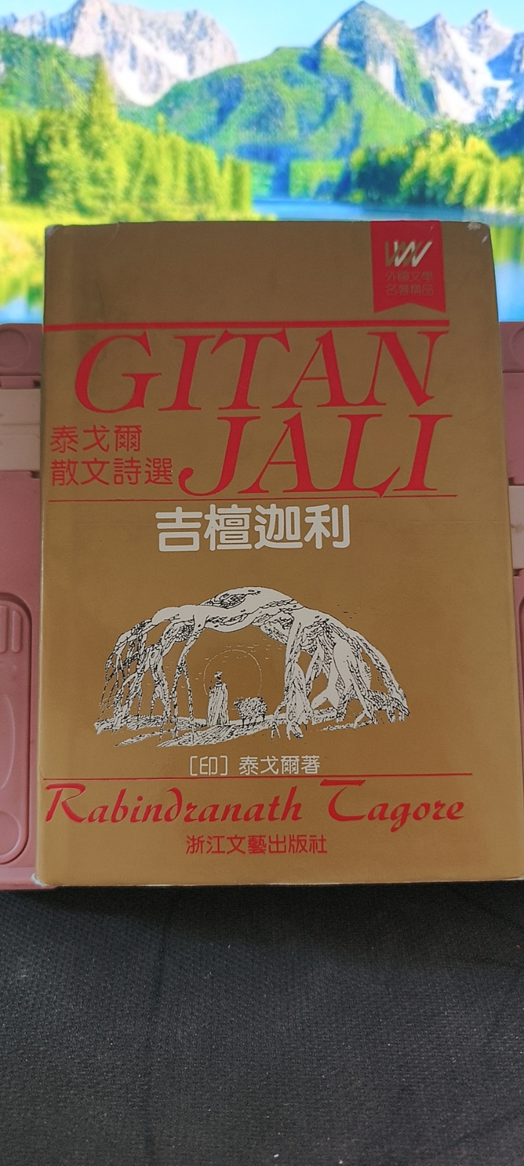 9新  吉檀迦利 泰戈尔散文诗选 精装 浙江文艺出版社