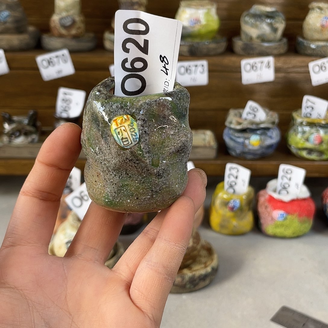 坛子姐花盆小白孤品内口2.5