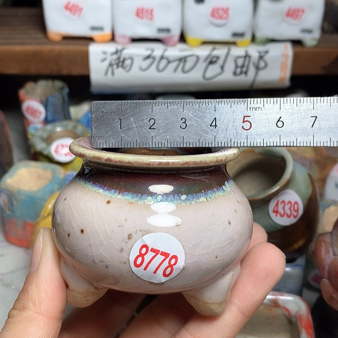 红陶拍5送一个小