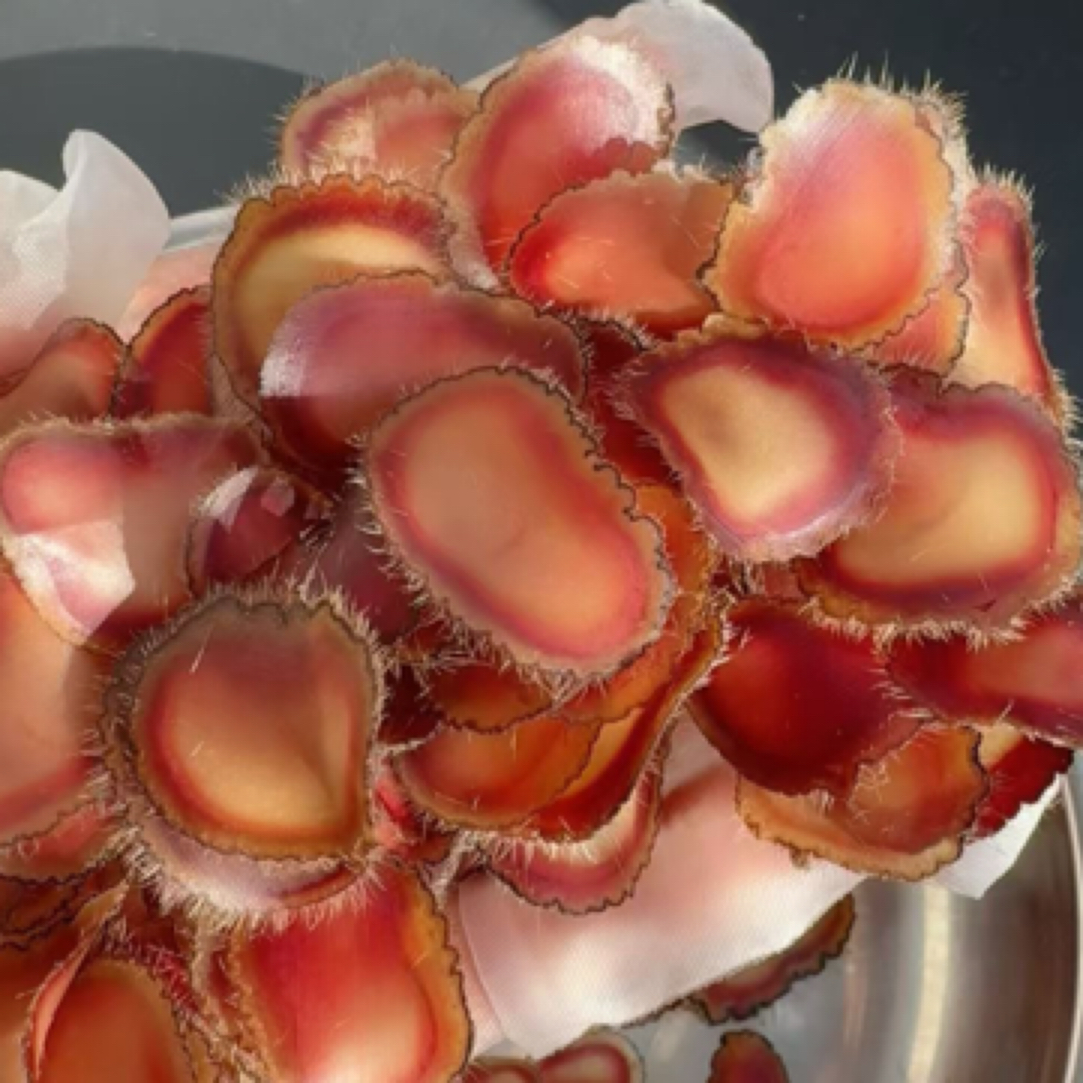 精选片礼盒装干切片泡酒煲汤送礼佳品