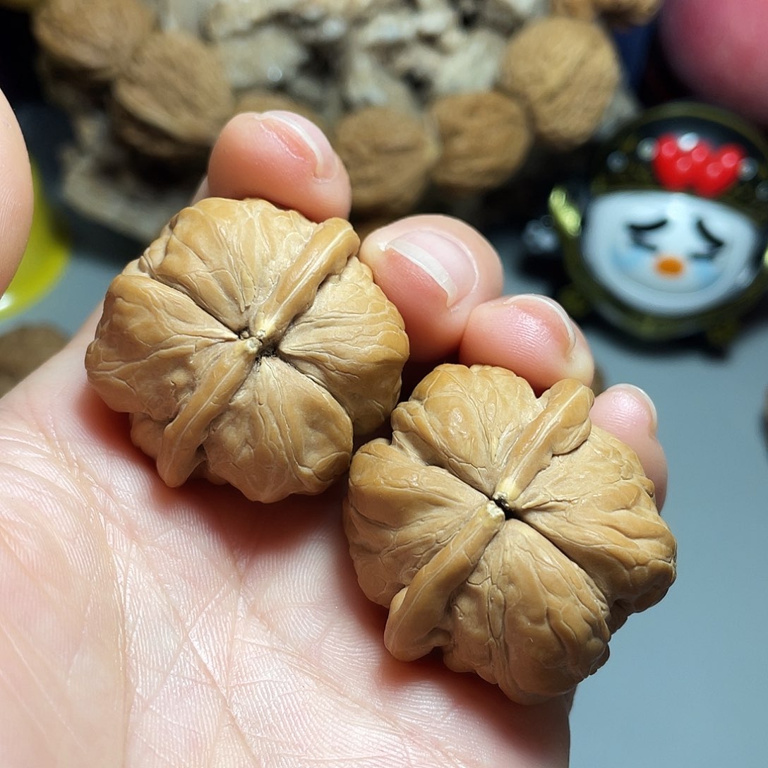 核桃手串/手链科*精品蛤蟆连体