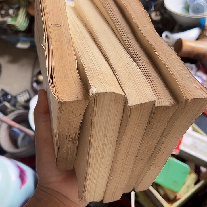 核桃木/黑胡桃（胡桃木）独**败