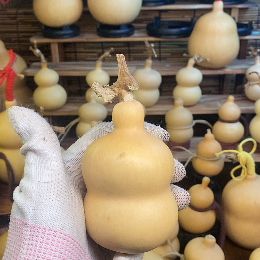 男***子直播间以组委会赛文玩葫芦