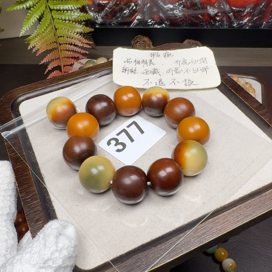 菩提根/象牙果吊坠毒***1微瑕22