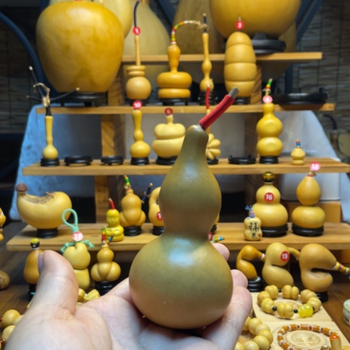 哈***塔天然葫芦自然生长