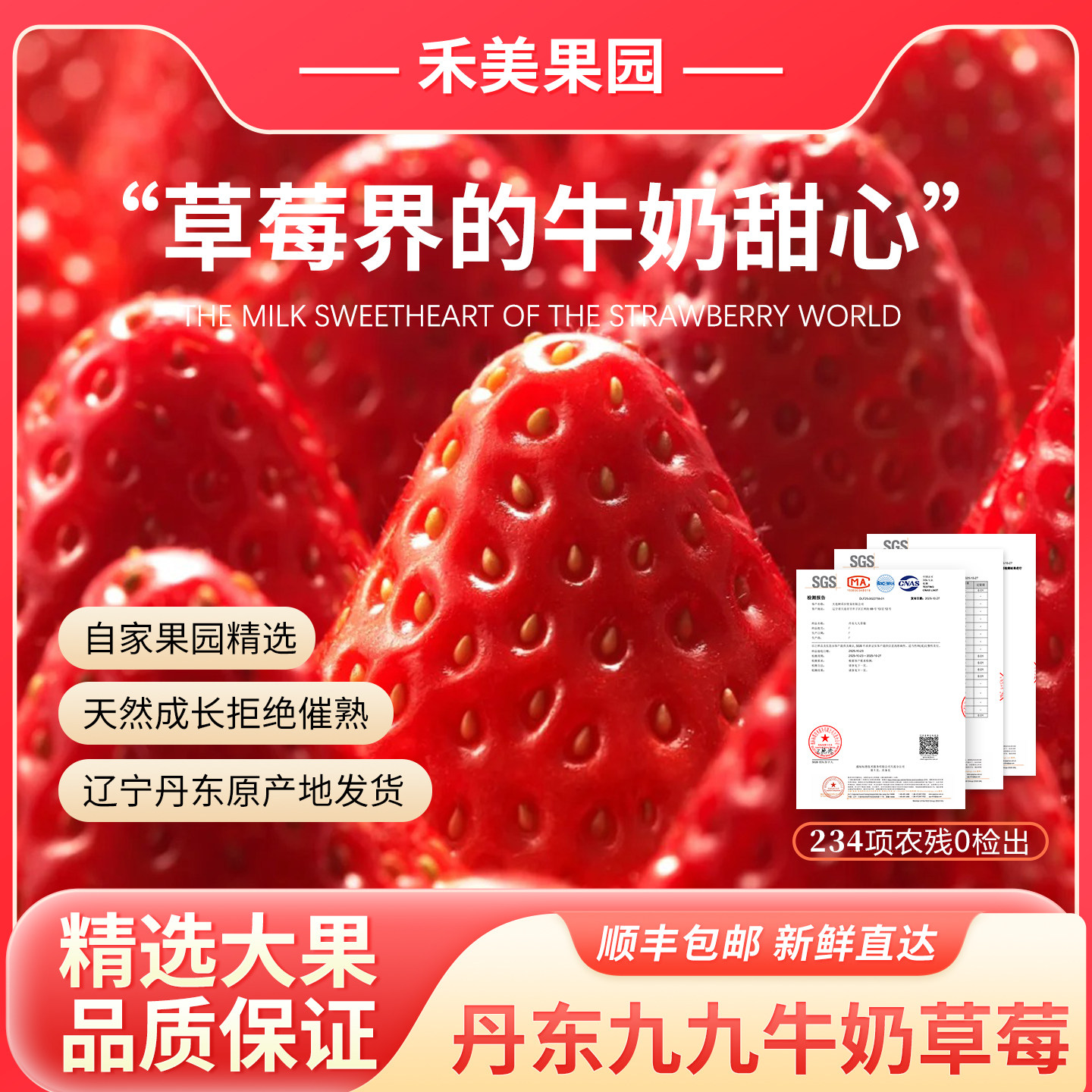 逢喜季丹东九九草莓红颜东港产地直发顺丰空运丹东99牛奶大草莓商品图