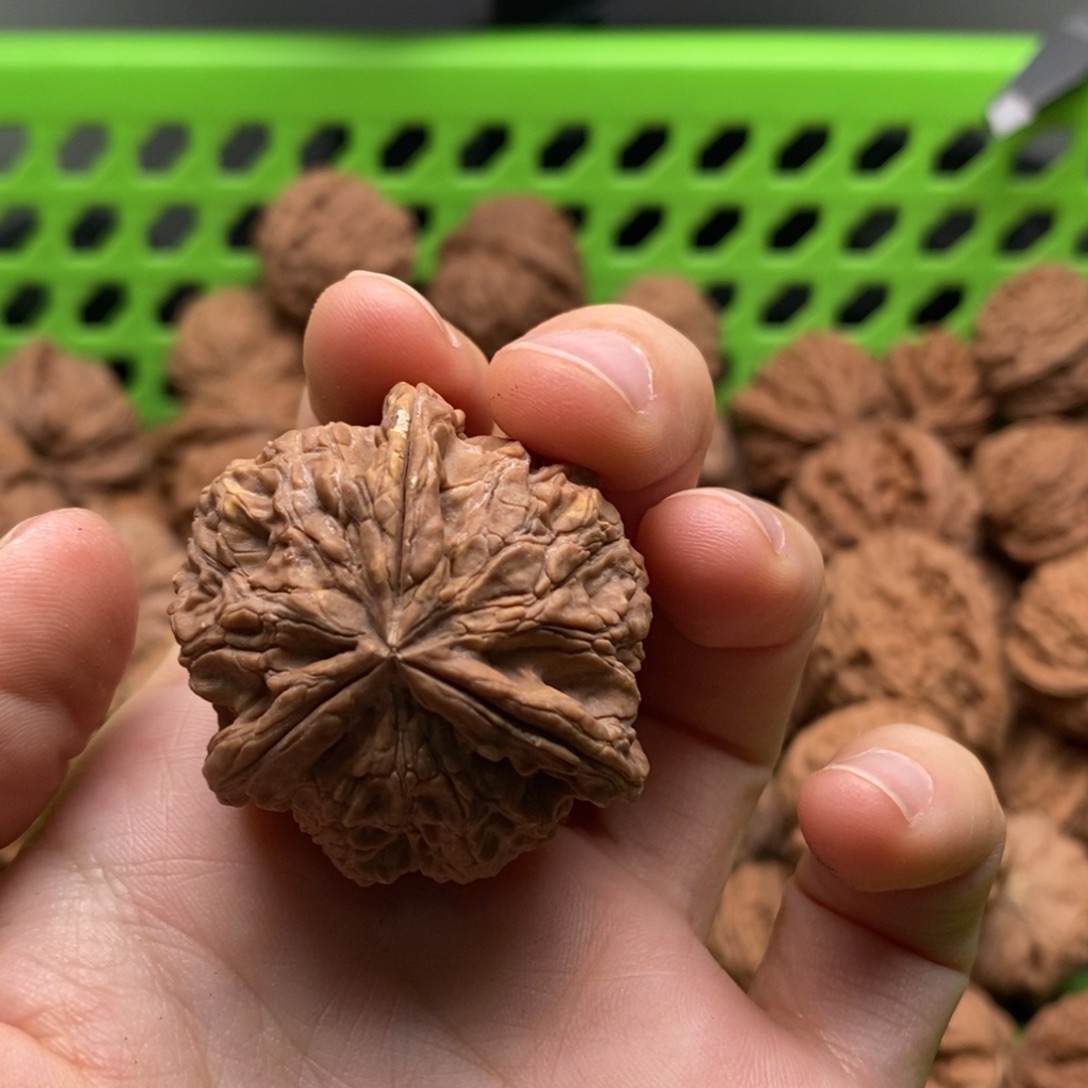 秦***岭把件文玩核桃定制商品不退不换