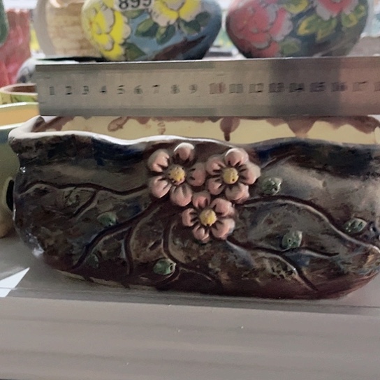 多肉植物花盆花盆