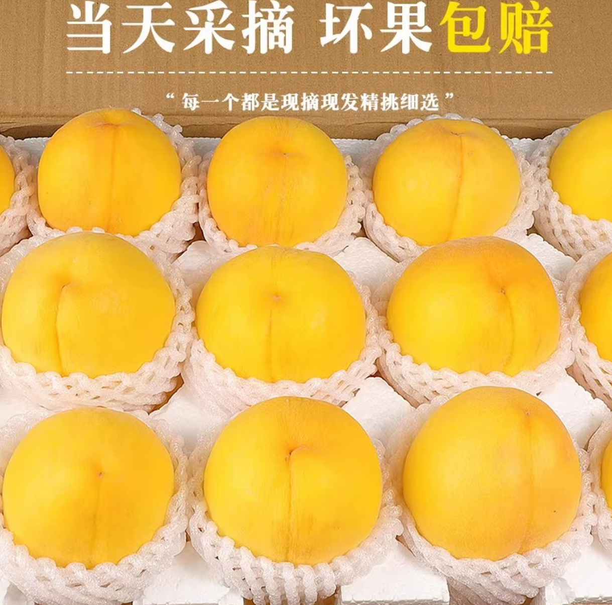 【坏果包赔】正宗山东蒙阴黄桃应季新鲜水果脆软两吃黄毛桃