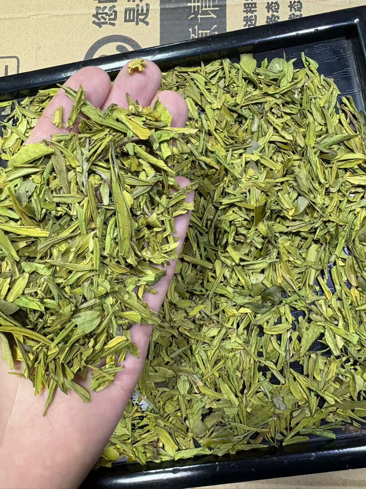 【茶碎】2025年明前金香玉茶碎