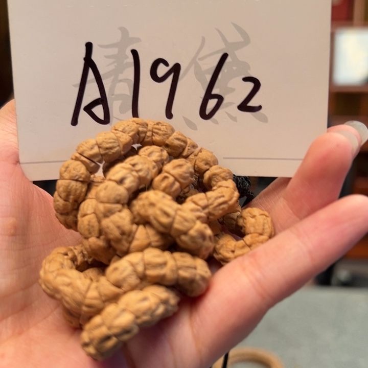 手串柏香籽/百香籽A1962