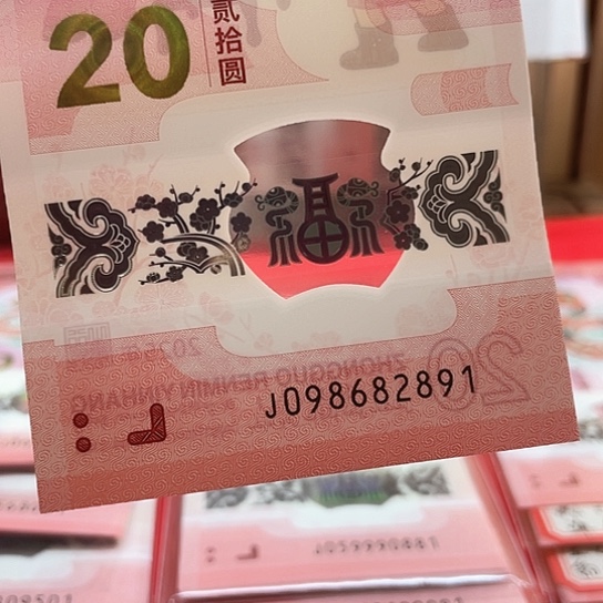 塑料小蛇钞098682891 朦胧