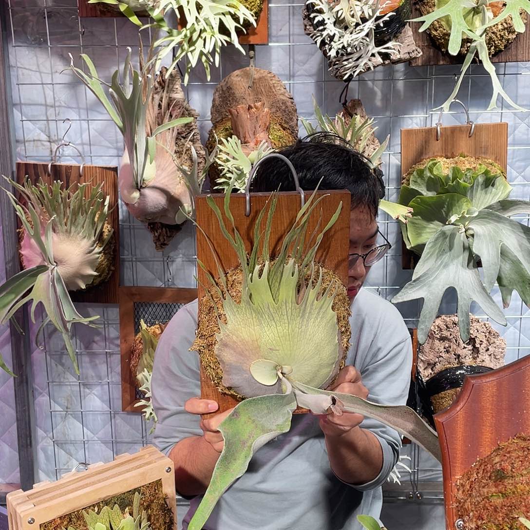 完全开放AR1111111