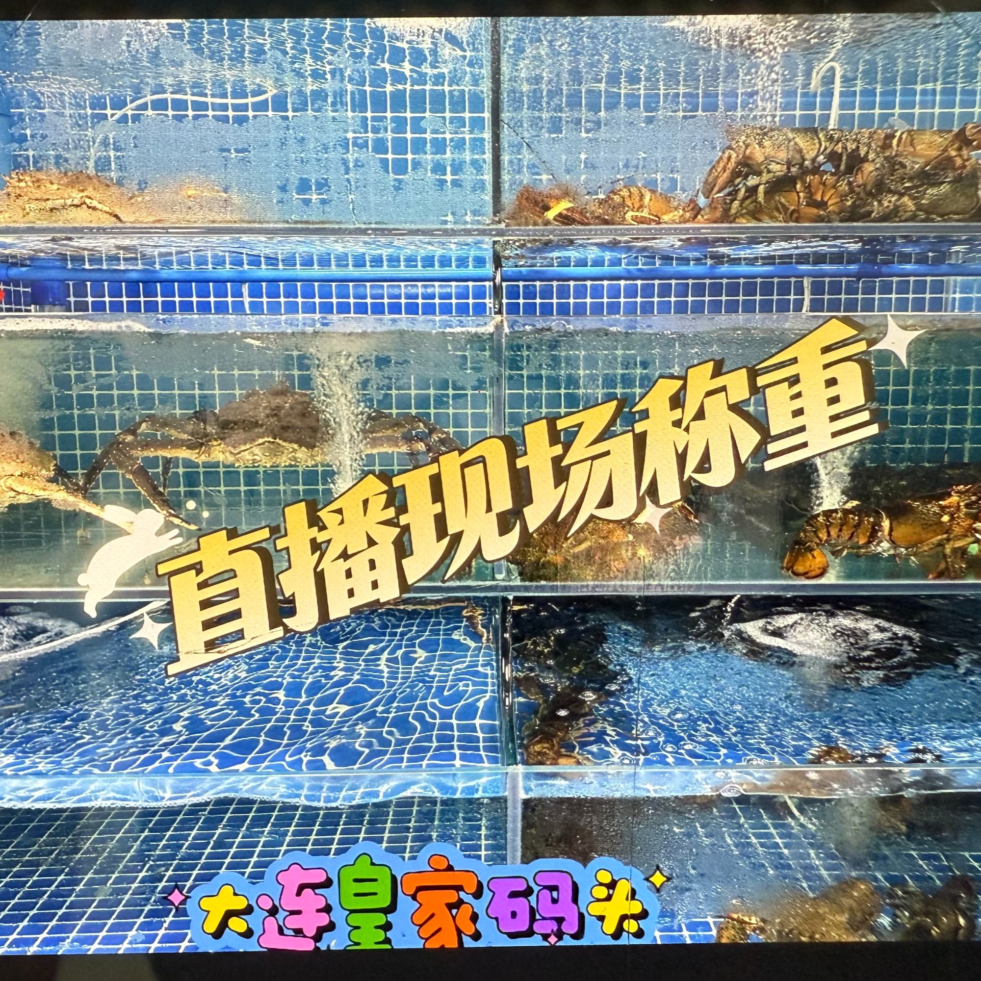 【直称现场称重 】听清在拍 海鲜运输保鲜不保活！
