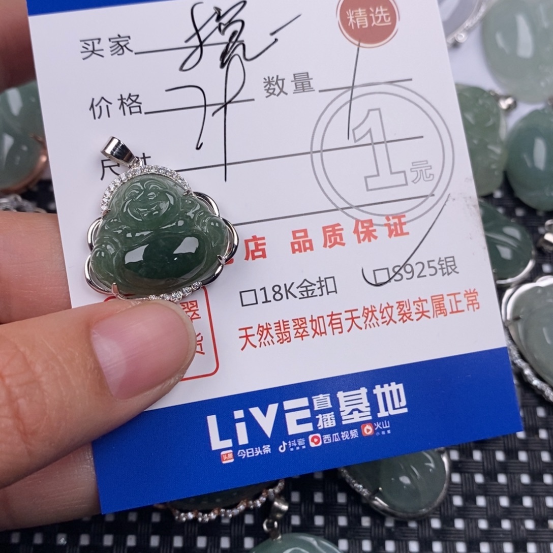 *****翡翠银S925镶嵌颈饰