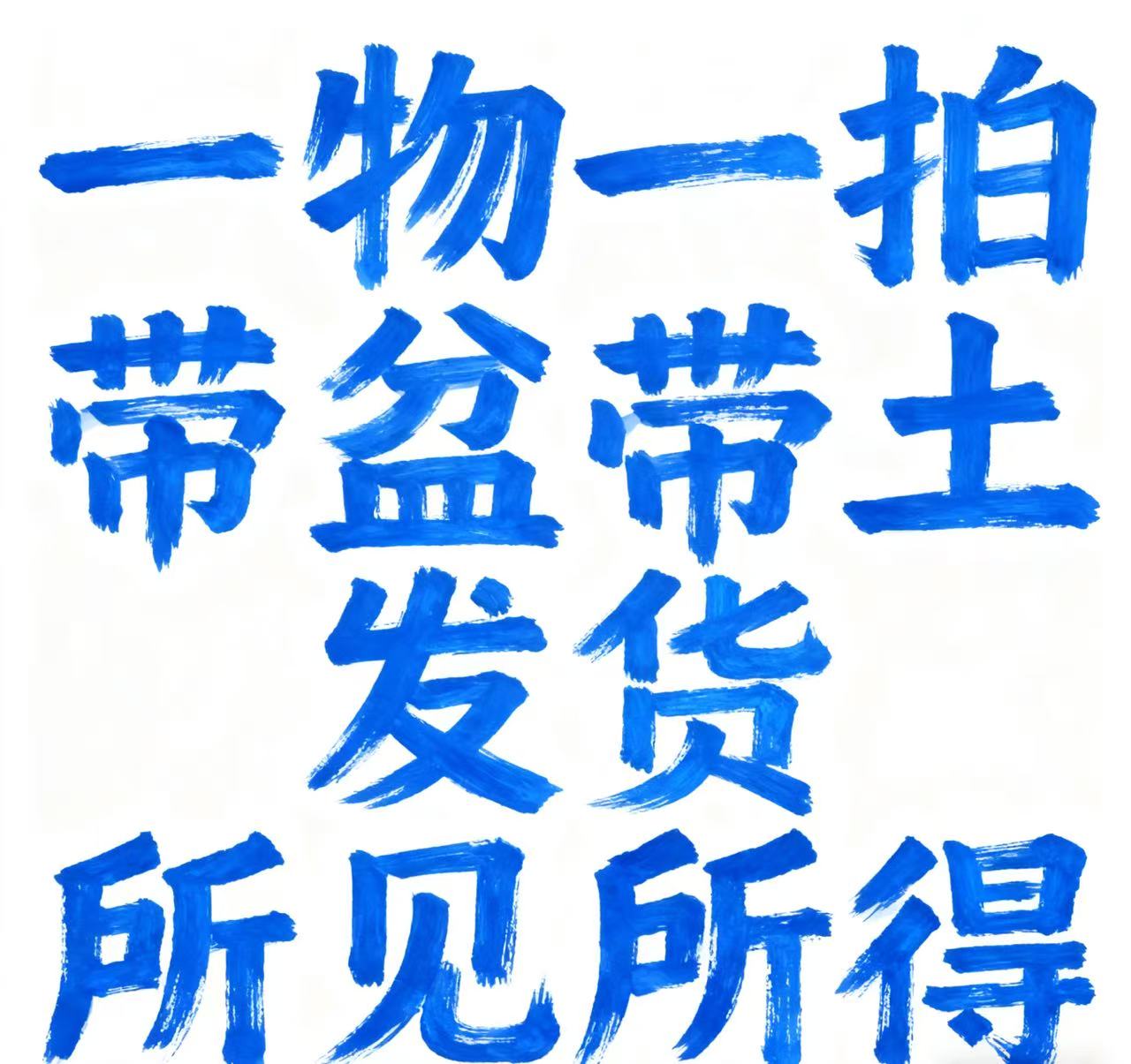 珍珠地柏直播间一物一拍