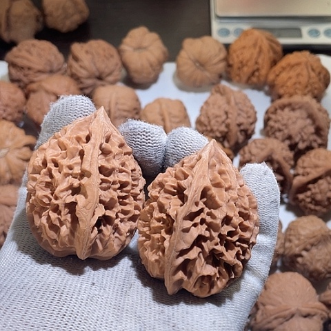 文玩核桃把件久层妖塔