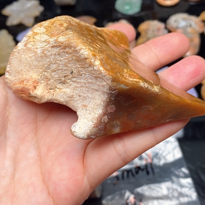 硅化珊瑚（珊瑚玉）手镯未镶嵌