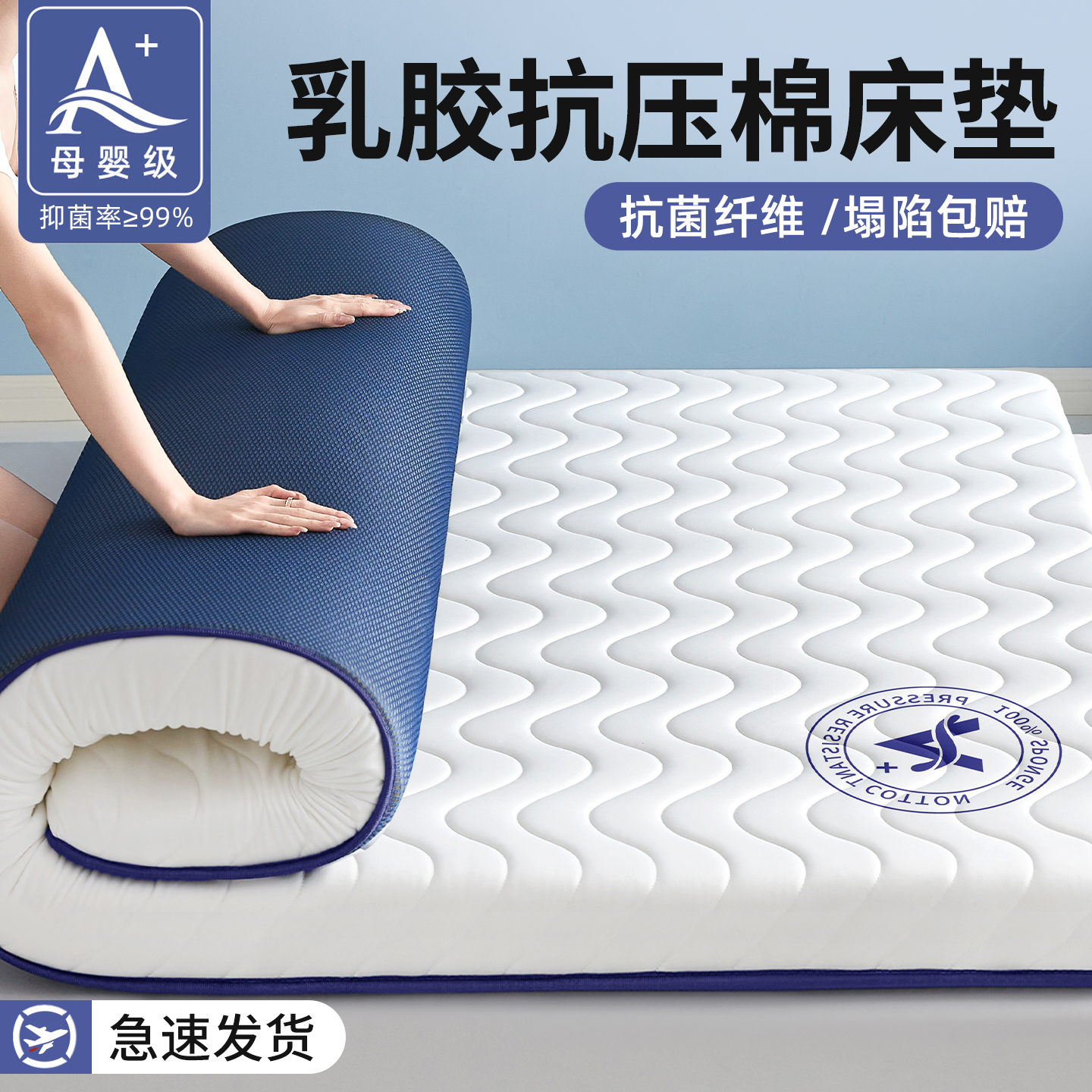 乳胶床垫软垫子家用卧室榻榻米租房专用学生宿舍单人加厚海绵床褥商品图