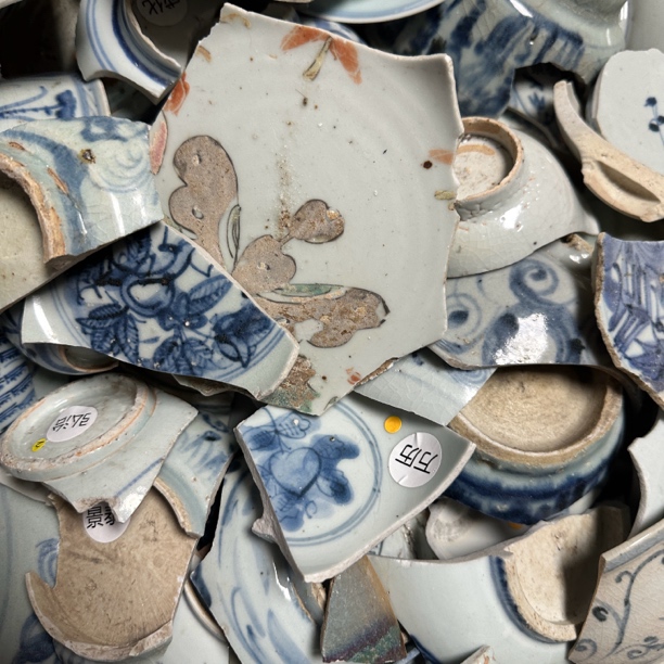 明清精美瓷片标本177