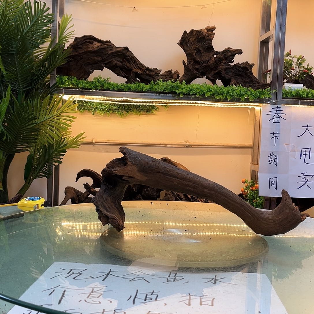 柚木天*沉木鱼缸造景