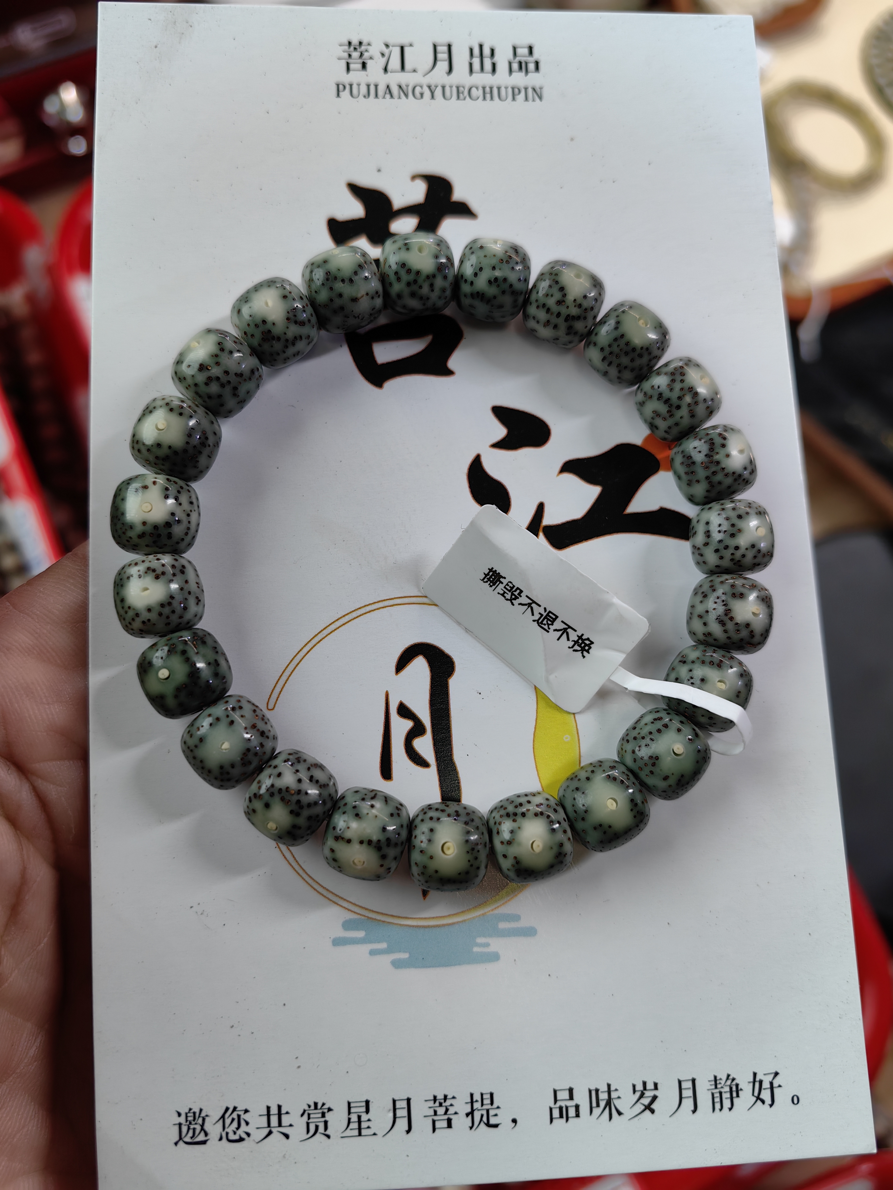 星月菩提海南同枝果A500