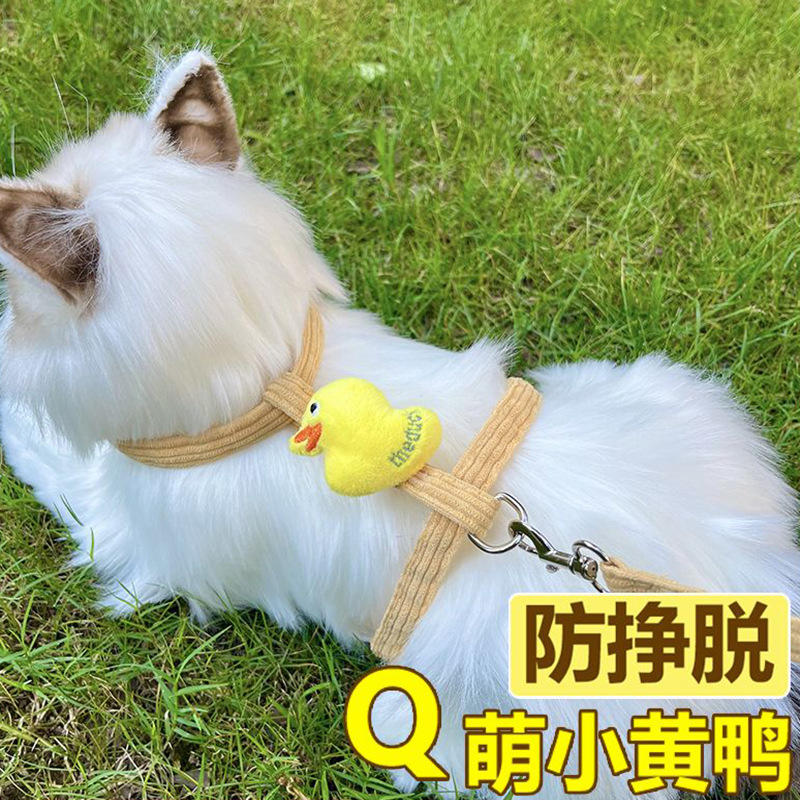 猫咪牵引绳防挣脱遛猫绳可调节猫链子遛狗绳拴猫绳宠物外出用品