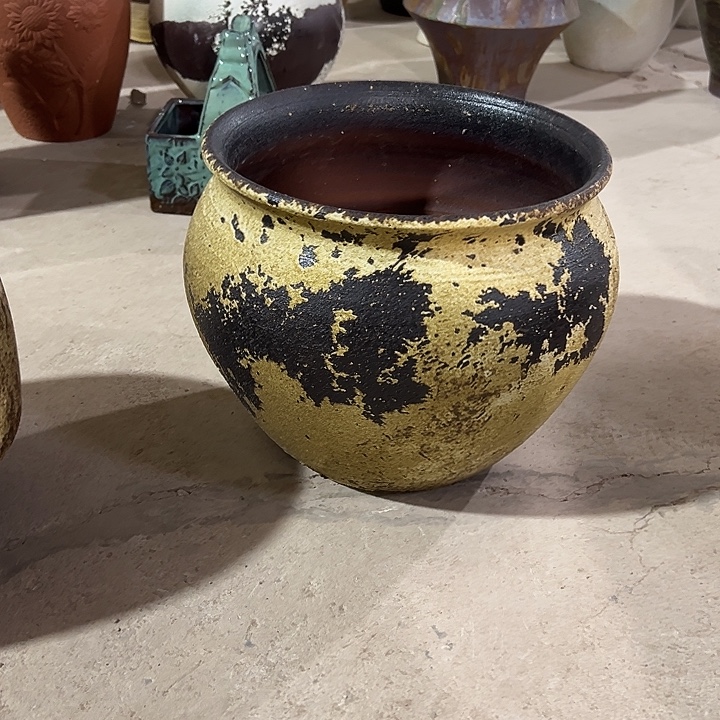 高24/27花盆个回家看看