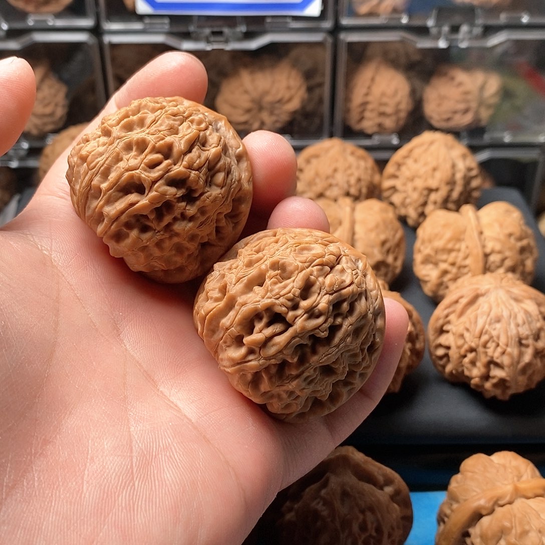 核桃手串/手链水龙纹尺寸43