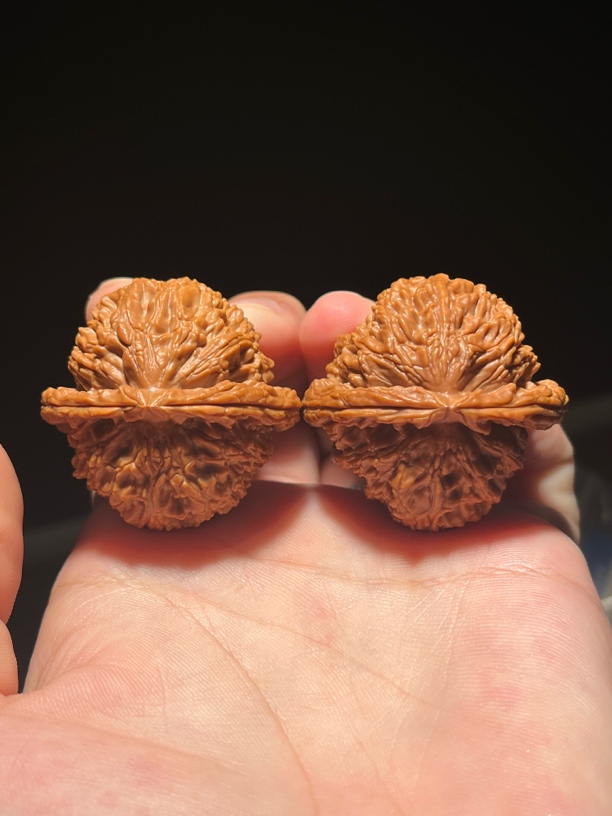 41尺 三角白狮子