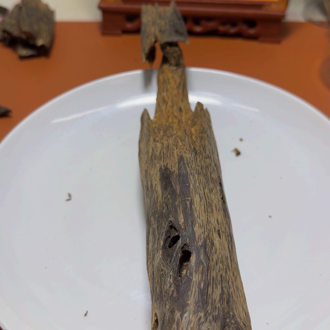 沉香手把件唯**尊沉香原母树虫漏香