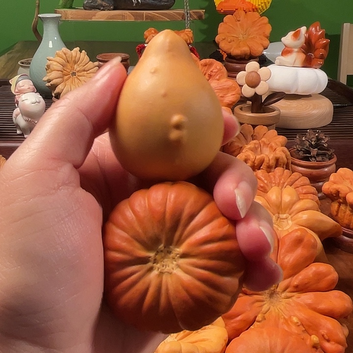 A***)墨西哥葫芦手把多瓣小屁桃